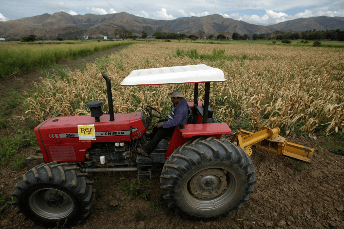 Sector alimentos en Venezuela: Realidades sobre invertir en el campo venezolano