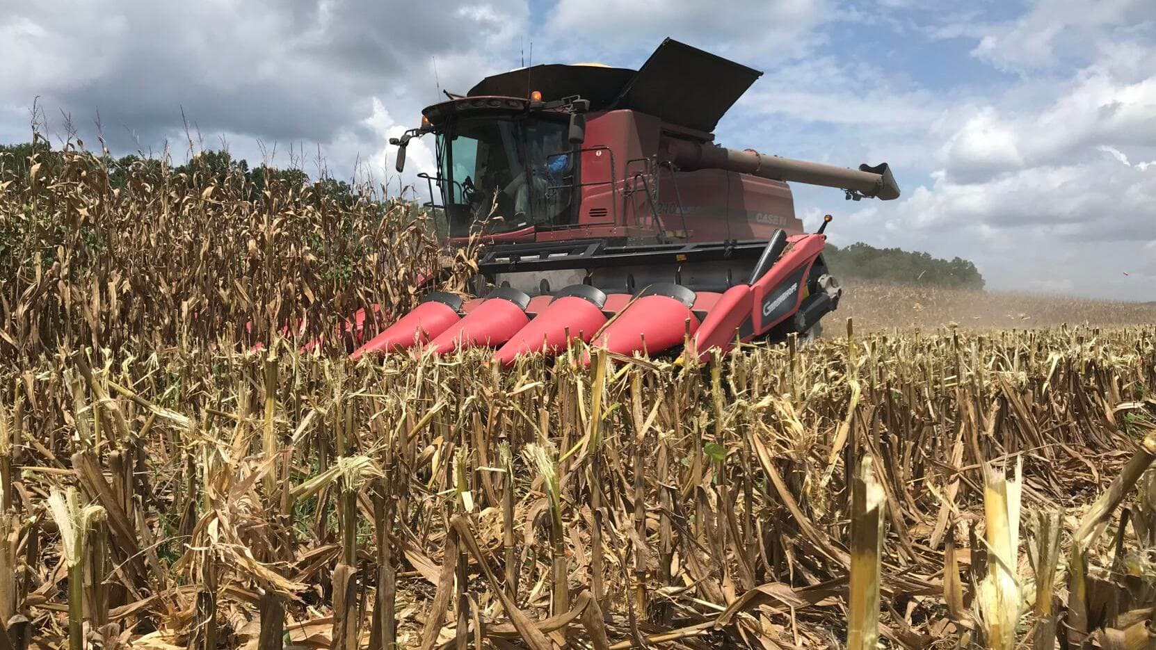 ¿Por qué Bill Gates está comprando todo el campo?