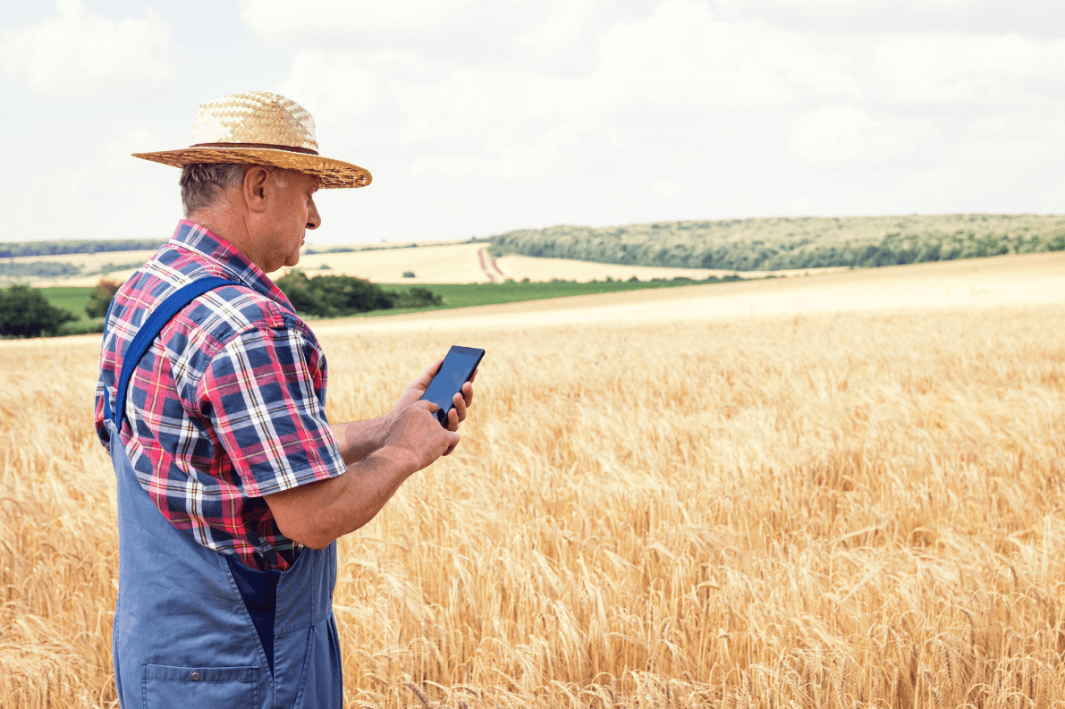 Revolución Financiera en el Sur: La Tokenización del Campo Deja Atrás la Teoría